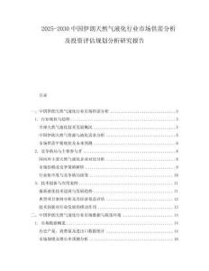 2025-2030中國(guó)伊朗天然氣液化行業(yè)市場(chǎng)供需分析及投資評(píng)估規(guī)劃分析研究報(bào)告