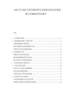 2025至2030中國(guó)公路養(yǎng)護(hù)行業(yè)深度分析及有效策略與實(shí)施路徑評(píng)估報(bào)告