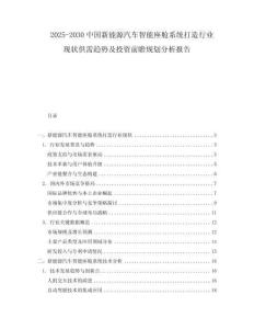 2025-2030中國新能源汽車智能座艙系統(tǒng)打造行業(yè)現(xiàn)狀供需趨勢及投資前瞻規(guī)劃分析報告