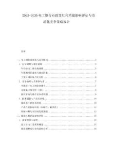 2025-2030電工鋼行業政策紅利消退影響評估與市場化競爭策略報告