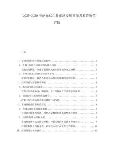 2025-2030全球光伏組件市場發(fā)展前景及投資價值評估