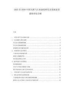 2025至2030中國(guó)天然氣行業(yè)深度研究及發(fā)展前景投資評(píng)估分析