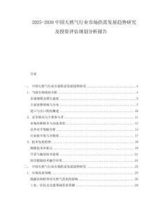 2025-2030中國(guó)天然氣行業(yè)市場(chǎng)供需發(fā)展趨勢(shì)研究及投資評(píng)估規(guī)劃分析報(bào)告