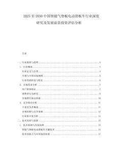 2025至2030中國(guó)智能氣墊板電動(dòng)滑板車行業(yè)深度研究及發(fā)展前景投資評(píng)估分析
