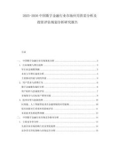2025-2030中國數(shù)字金融行業(yè)市場應(yīng)用供需分析及投資評估規(guī)劃分析研究報告