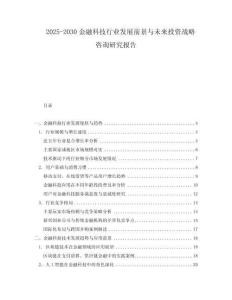 2025-2030金融科技行業(yè)發(fā)展前景與未來投資戰(zhàn)略咨詢研究報告