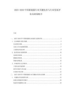 2025-2030中國新能源行業(yè)關(guān)鍵技術(shù)與行業(yè)發(fā)展評估及政策配合