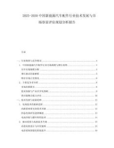 2025-2030中國新能源汽車配件行業技術發展與市場容量評估規劃分析報告