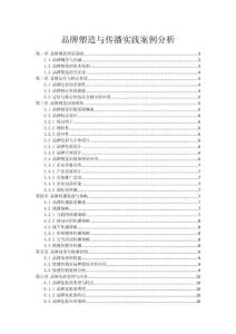 品牌塑造與傳播實踐案例分析