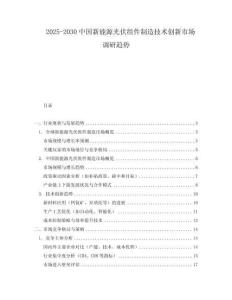 2025-2030中國新能源光伏組件制造技術創新市場調研趨勢