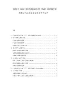 2025至2030中國熱蒸汽再壓縮（TVR）蒸發器行業深度研究及發展前景投資評估分析