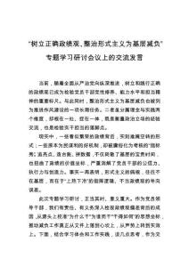 “樹立正確政績(jī)觀、整治形式主義為基層減負(fù)”專題學(xué)習(xí)研討會(huì)議上的交流發(fā)言