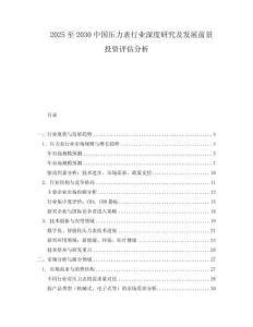2025至2030中國壓力表行業(yè)深度研究及發(fā)展前景投資評估分析