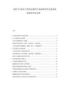 2025至2030中國電站鍋爐行業深度研究及發展前景投資評估分析
