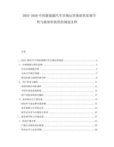 2025-2030中國新能源汽車市場運營現狀供需調節性與投資價值管控規劃文檔