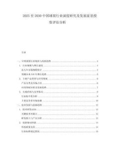 2025至2030中國球窩行業(yè)深度研究及發(fā)展前景投資評估分析