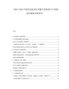 2025-2030中國信息技術(shù)行業(yè)數(shù)字化轉(zhuǎn)型與產(chǎn)業(yè)鏈協(xié)同規(guī)劃分析研究