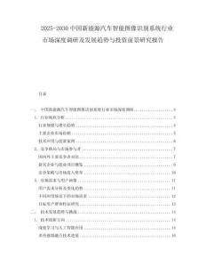 2025-2030中國新能源汽車智能圖像識別系統行業市場深度調研及發展趨勢與投資前景研究報告