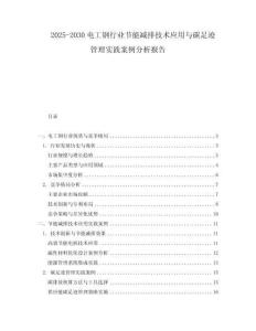 2025-2030電工鋼行業節能減排技術應用與碳足跡管理實踐案例分析報告