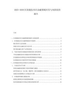 2025-2030區(qū)塊鏈技術(shù)在金融領(lǐng)域應(yīng)用與風(fēng)險(xiǎn)防控報(bào)告