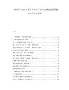 2025至2030中國甜酥餅干行業(yè)深度研究及發(fā)展前景投資評(píng)估分析