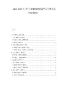 2025-2030電工鋼企業戰略聯盟構建與協同發展機制咨詢報告