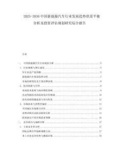 2025-2030中國(guó)新能源汽車行業(yè)發(fā)展趨勢(shì)供需平衡分析及投資評(píng)估規(guī)劃研究綜合報(bào)告