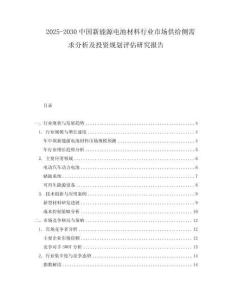 2025-2030中國(guó)新能源電池材料行業(yè)市場(chǎng)供給側(cè)需求分析及投資規(guī)劃評(píng)估研究報(bào)告