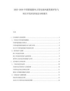 2025-2030中國(guó)新能源風(fēng)力發(fā)電場(chǎng)風(fēng)能資源評(píng)估與項(xiàng)目開(kāi)發(fā)經(jīng)濟(jì)效益分析報(bào)告
