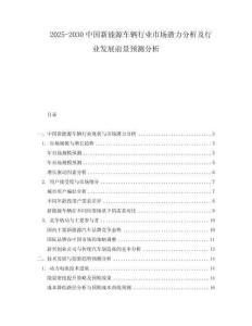 2025-2030中國(guó)新能源車輛行業(yè)市場(chǎng)潛力分析及行業(yè)發(fā)展前景預(yù)測(cè)分析