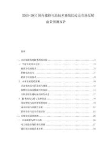 2025-2030國(guó)內(nèi)儲(chǔ)能電池技術(shù)路線比較及市場(chǎng)發(fā)展前景預(yù)測(cè)報(bào)告
