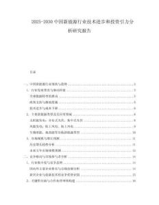 2025-2030中國(guó)新能源行業(yè)技術(shù)進(jìn)步和投資引力分析研究報(bào)告