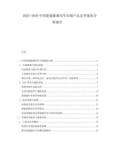 2025-2030中國(guó)新能源乘用車市場(chǎng)產(chǎn)品競(jìng)爭(zhēng)現(xiàn)狀分析報(bào)告
