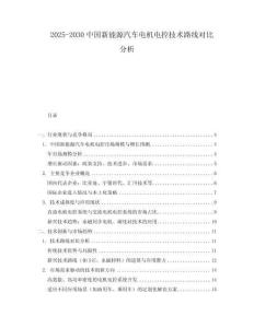 2025-2030中國新能源汽車電機電控技術路線對比分析