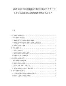 2025-2030中國新能源汽車智能座艙硬件開發(fā)行業(yè)市場前景深度分析及發(fā)展趨勢和投資機會報告