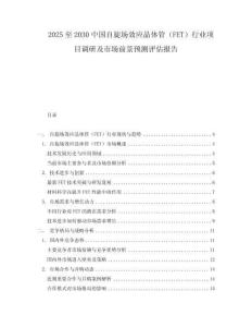 2025至2030中國自旋場效應晶體管（FET）行業項目調研及市場前景預測評估報告