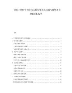 2025-2030中國移動支付行業市場現狀與投資評估規劃分析報告