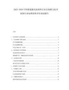 2025-2030中國新能源電池材料行業(yè)市場潛力技術(shù)創(chuàng)新行業(yè)標準投資評估規(guī)劃報告