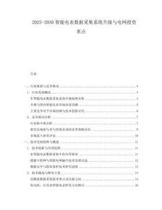 2025-2030智能電表數(shù)據(jù)采集系統(tǒng)升級與電網(wǎng)投資重點