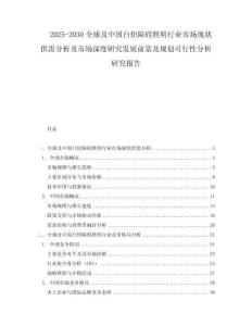 2025-2030全球及中國白熾障礙照明行業市場現狀供需分析及市場深度研究發展前景及規劃可行性分析研究報告