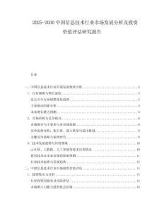 2025-2030中國信息技術行業市場發展分析及投資價值評估研究報告