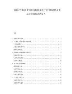 2025至2030中國光束傳輸系統行業項目調研及市場前景預測評估報告