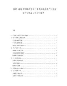 2025-2030中國影音娛樂行業市場現狀用戶行為投資評估規劃分析研究報告