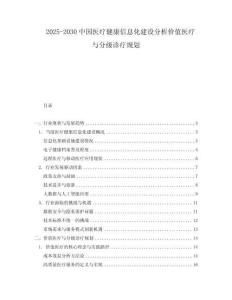 2025-2030中國醫療健康信息化建設分析價值醫療與分級診療規劃