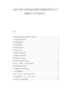 2025-2030中國信息技術服務市場深度評估及云計算概念與產業升級方向