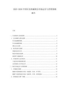 2025-2030中國壓實機(jī)械細(xì)分市場定位與營銷策略報告
