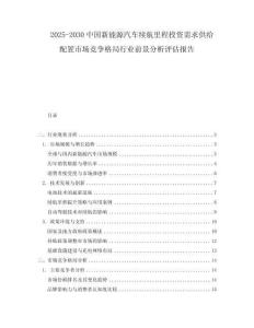 2025-2030中國新能源汽車續航里程投資需求供給配置市場競爭格局行業前景分析評估報告