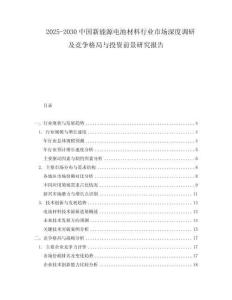2025-2030中國新能源電池材料行業市場深度調研及競爭格局與投資前景研究報告
