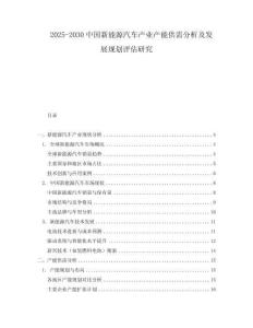 2025-2030中國新能源汽車產業產能供需分析及發展規劃評估研究