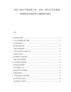 2025-2030中国水利工程、水泵、闸门行业市场深度调研及发展趋势与战略研究报告